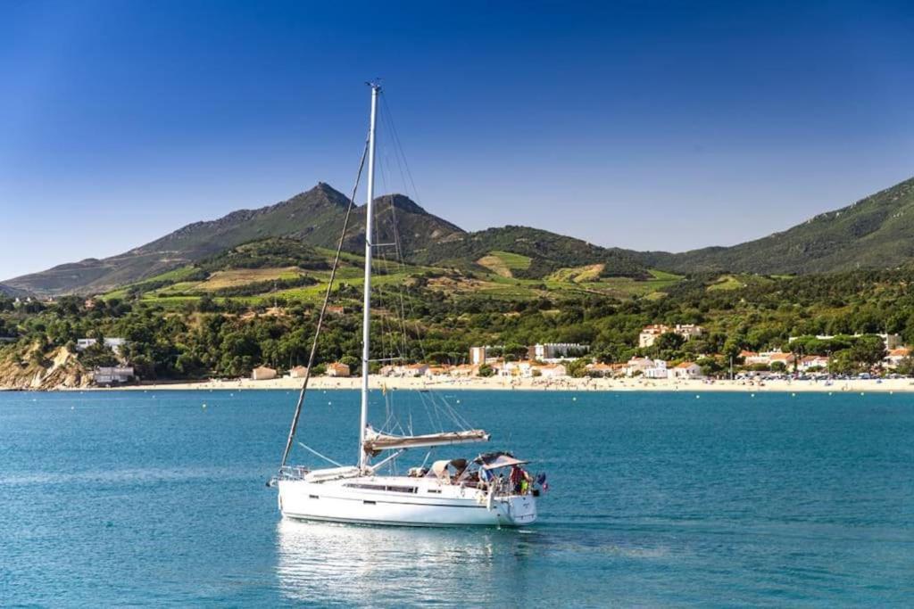"Les Bambous" Studio Cosy Climatise Au Calme De 37 M2 Parking Gratuit A Argeles Sur Mer エクステリア 写真