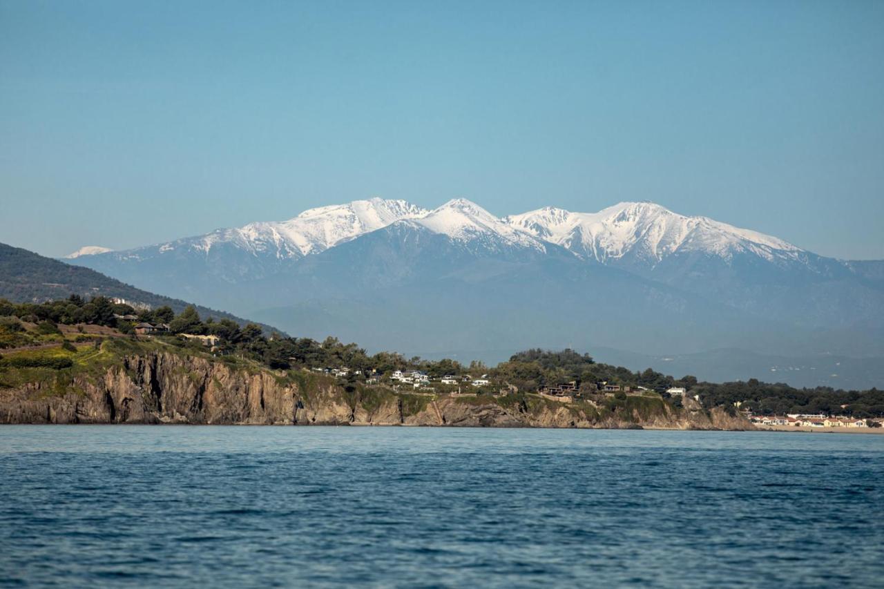 "Les Bambous" Studio Cosy Climatise Au Calme De 37 M2 Parking Gratuit A Argeles Sur Mer エクステリア 写真